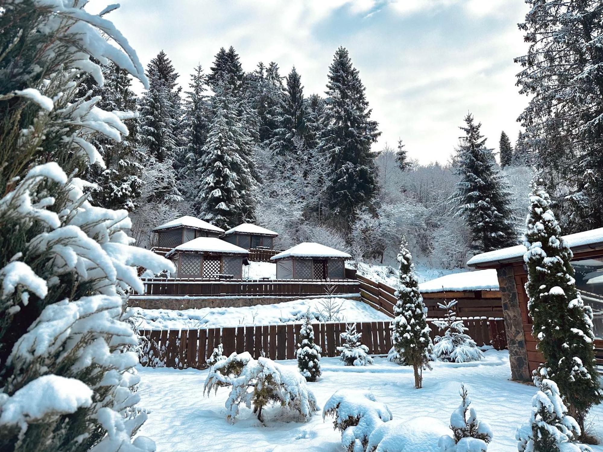 Chalet Filvarok Slavske Luaran gambar